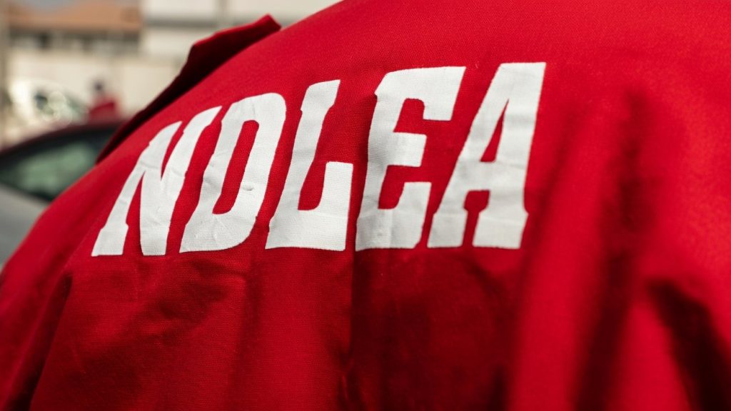 NDLEA Arrests Nigerian-British Woman, PhD Student, Others in Major Drug Busts Across States