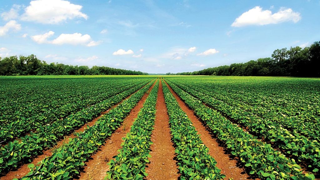 FG, IFDC Sign MoU to Boost Fertilizer Access, Achieve Food Sovereignty