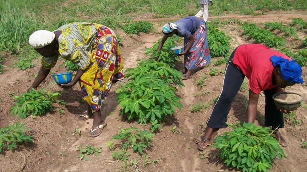 Agric Investment Summit: Positioning Niger Delta for Jobs, Food Security
